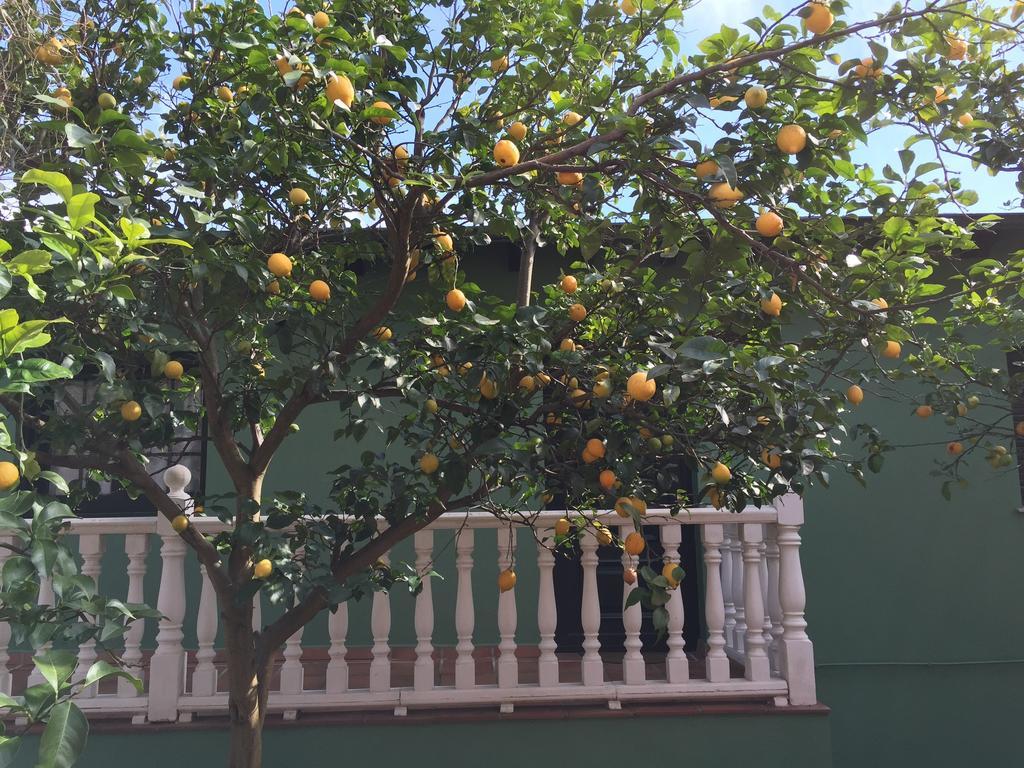Apartamentos Rurales Casa Ron Coana المظهر الخارجي الصورة
