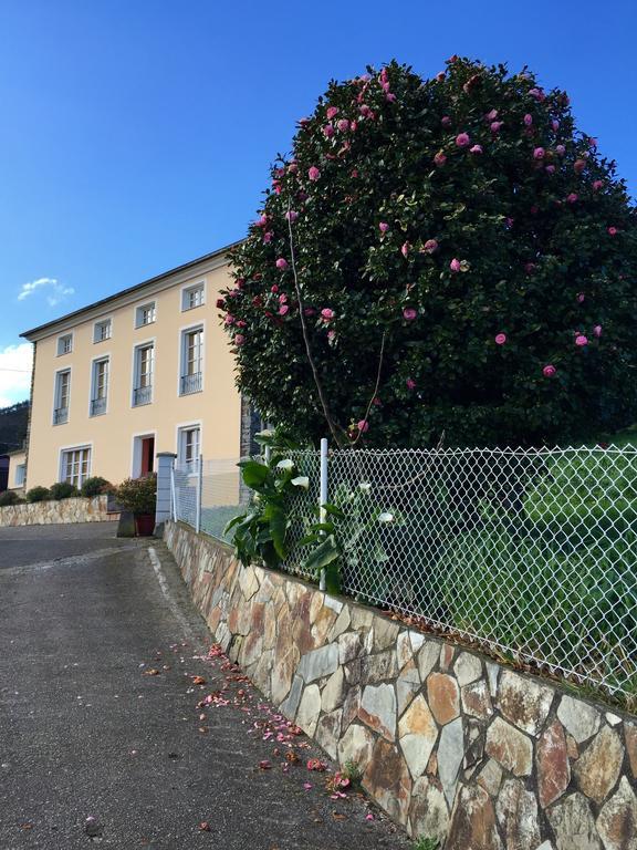 Apartamentos Rurales Casa Ron Coana المظهر الخارجي الصورة